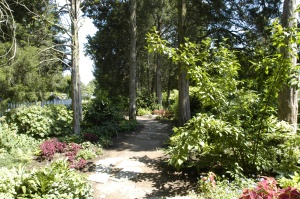 One of the many park trails at Green Spring Gardens